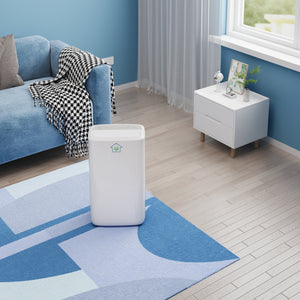 12L Home Dehumidifier with Dry Mode and Smart Humidity Control