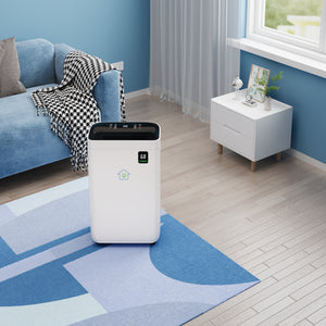 Smart Dehumidifier for Large Rooms with Drying Mode and Humidity Control
