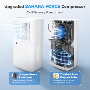 12L Home Dehumidifier with Dry Mode and Smart Humidity Control