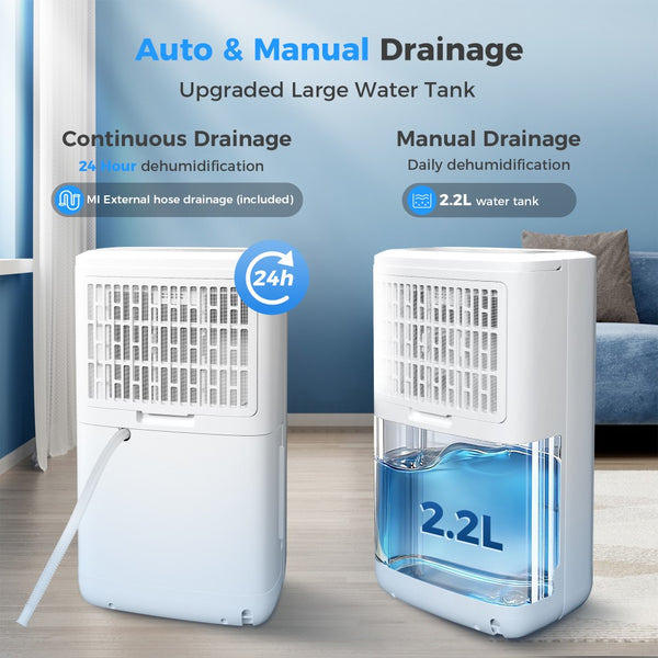 12L Home Dehumidifier with Dry Mode and Smart Humidity Control