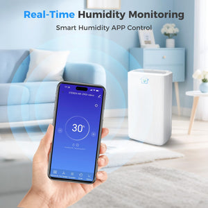12L Home Dehumidifier with Dry Mode and Smart Humidity Control