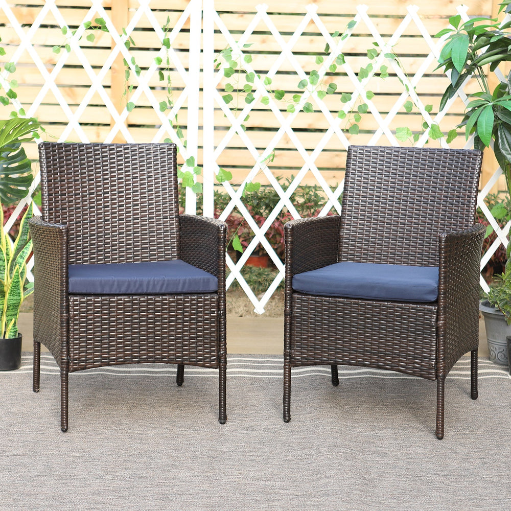 Rattan Steel Cushioned Patio Outdoor Chairs Set of 2